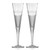 Set of Two Sea Shore Frosted and Etched Flute Glasses