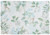 Beach Frost Set of Four Placemats