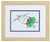  Playful Bright Fish and Sea Turtle Framed Prints.2