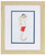 Playful Bright Octopus and Seahorse Framed Prints.seahorse
