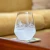 Regatta Etched Stemless Tumbler Glasses - Set of 4 lifestyle 1