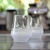 Regatta Etched Stemless Tumbler Glasses - Set of 4 lifestyle 2