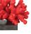 Kohala Coral Red Sculpture Deco close up base and details