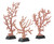 Set of Three Large Red Coral Branches Sculpted Decor