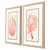 Cape Greco Apricot Coral Images - Set of Two angle view