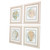 Sea Scallop Shapes Set of Four Framed Images angle
