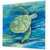 Lagoon Turtle III Canvas Art angle view