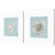 Found Seashells Framed In White II Art Prints