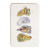 Willapa Watercolor Oysters Rectangle Cheese Board Willapa Watercolor Oysters Rectangle Cheese Board