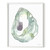 Spring Tide Oyster Watercolor Print