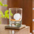 Scallop Shell Engraved Double Old Fashioned Glasses - Set of Four lifestyle 3