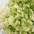 Talahi Island Summer Hydrangea Bouquet close up