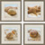 Whispering Sands Shells Set of Four Wall Art Decor