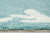 Aqua and White Coral Branch Border Design Rug edge