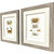 Antique Crab Studies - Framed Set of Two angle view