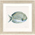 Coastal Bliss III Tropical Fish Art 