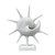White Marco Shell Sculpture back side