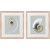 Elegant Neutral Pearl Nautilus Shell Prints I