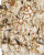 Tidal Pool Medium Hand-Crafted Vase - close up octopus details