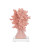 Fire Island Faux Coral Sculpture Set side view
