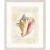 Coastal Wonders Set of Four Framed Art Decor image 1