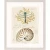 Coastal Wonders Set of Four Framed Art Decor image 4