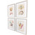 Coastal Wonders Set of Four Framed Art Decor angle view