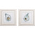 Atlantic and Pacific Oyster Shell Prints
