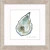 Atlantic and Pacific Oyster Shell Framed Art Prints - Pacific Oyster
