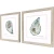 Atlantic and Pacific Oyster Shell Framed Art Prints angle view