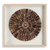 Natural Tiger Sea Urchin Spine Wall Shadowbox Sculpture Art 