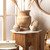 Malibu Natural Wood Decorative Spheres room image
