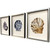 Coastal Shell Studies I Framed Art Set angle view