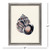 Coastal Shell Studies I Framed Art Set measurments