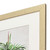 Antique Palm Framed Studies - Set of Four corner