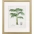 Antique Palm Framed Studies - Set of Four.1