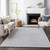 Sand Dollar Beach Grey Plush Area Rug living room example