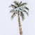 Deck the Palms Set of 4 Linen Napkins close up palm tree embroidery