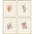 Ochre Coral Giclee Framed Art Set