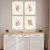Ochre Coral Giclee Framed Art Set living room