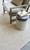 Sconset Shell Ivory Woven Area Rug lifestyle 1