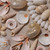 Seabrook Isle Shell Shadowbox Framed Art close up