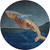 Deep Blue Whale Area Rug round