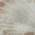 Cove Fan Shell Plush Area Rug close up
