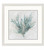 Teal Coral Splash Framed Art Images.2