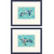 Bright Turquoise Tropical Sea Turtle Art Prints 