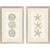 Trio of Coastal Shells - Set of Two Art Images 2