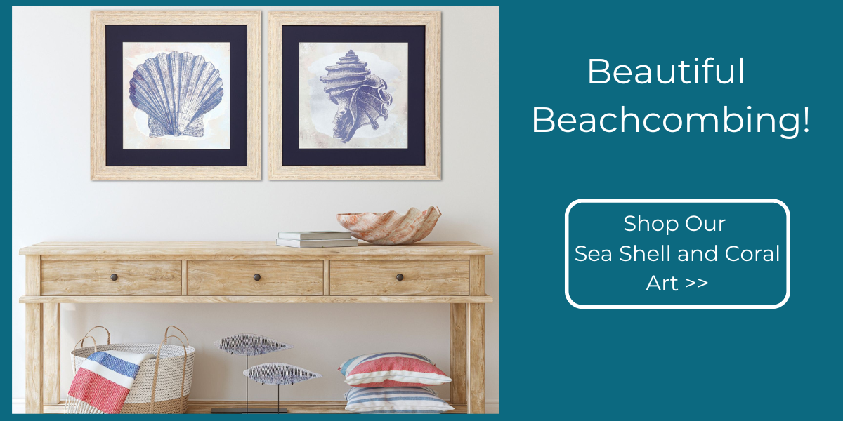 Shop and Explore the Caron's Beach House expanded Sea Shell and Coral Wall Art collections.