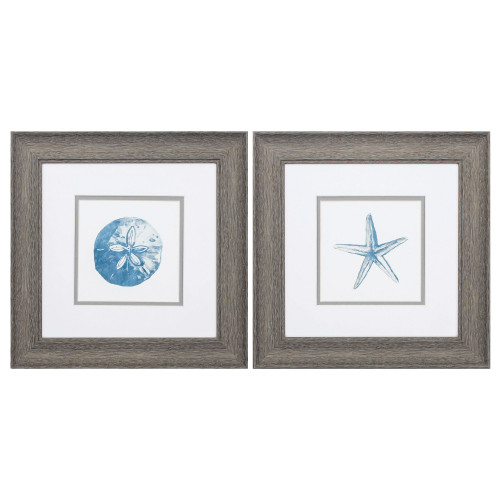 Blue Sand Dollar and Starfish Framed Art - Set of Two | Caron's Beach House