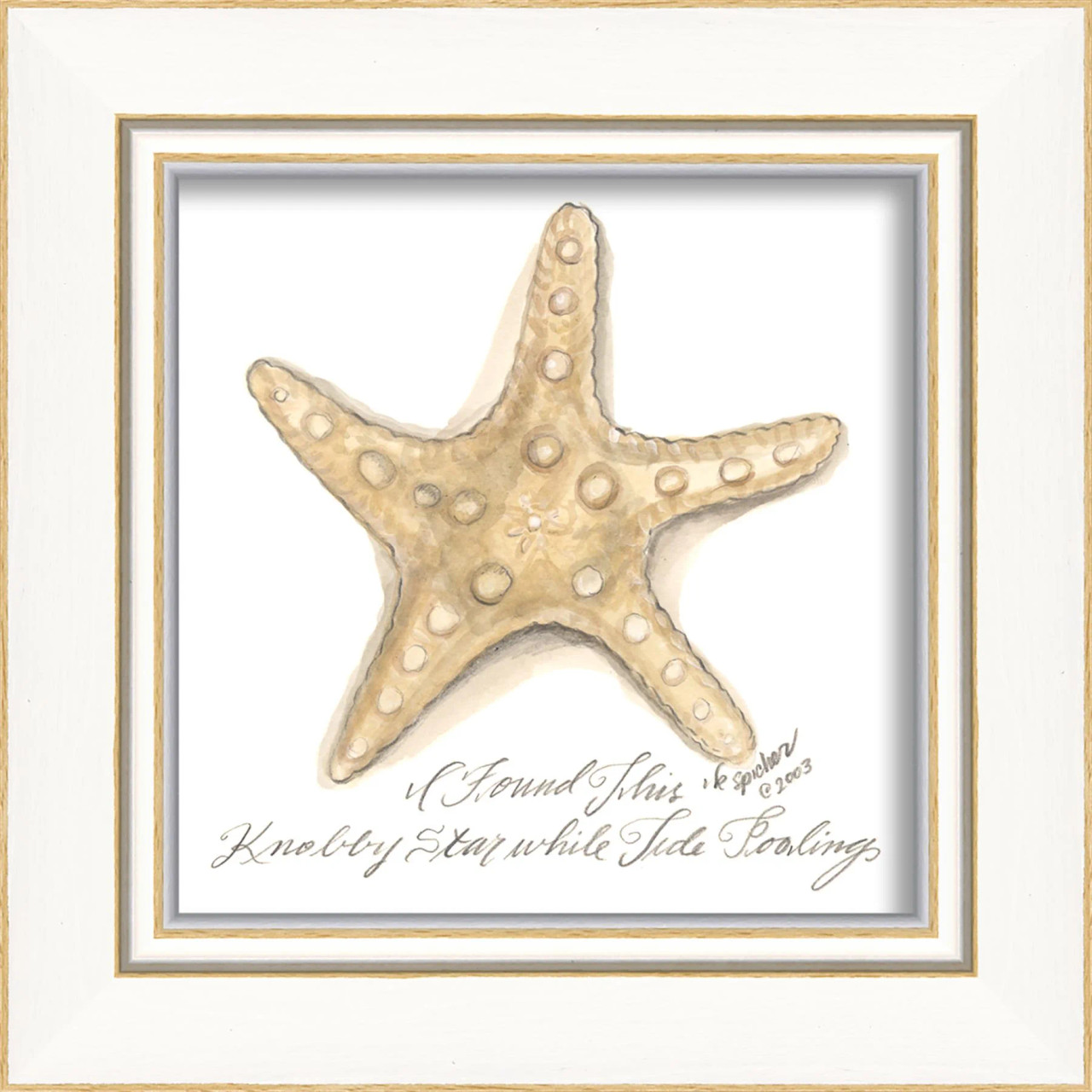 Image of White Knobby Starfish Cottage Art